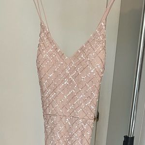 Blush Adrianna Papell Platinum gown